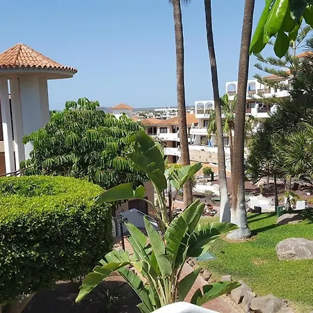 Penthouse In Golf Del Sur